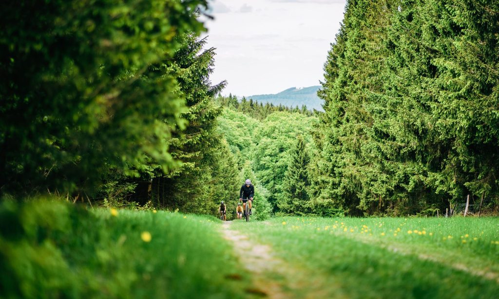 3RIDES Gravel Winterberg, Rides